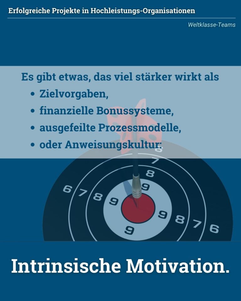 Intrinsische Motivation