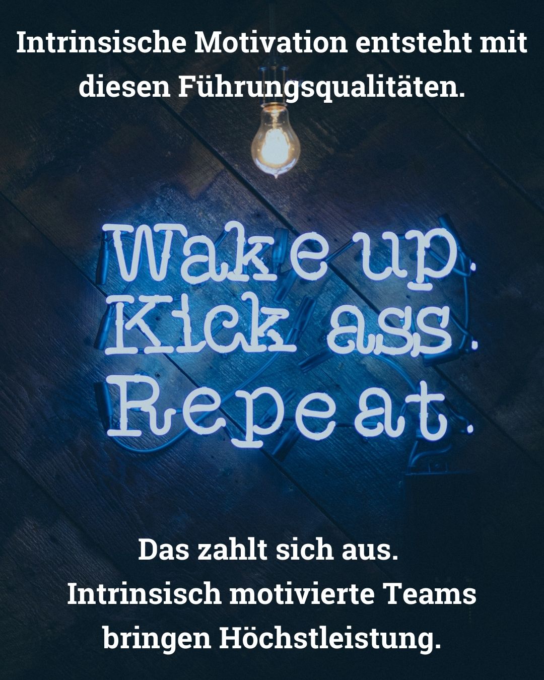 Teams bringen Höchstleistung durch intrinsische Motivation - von Klaus Nitsche - 11