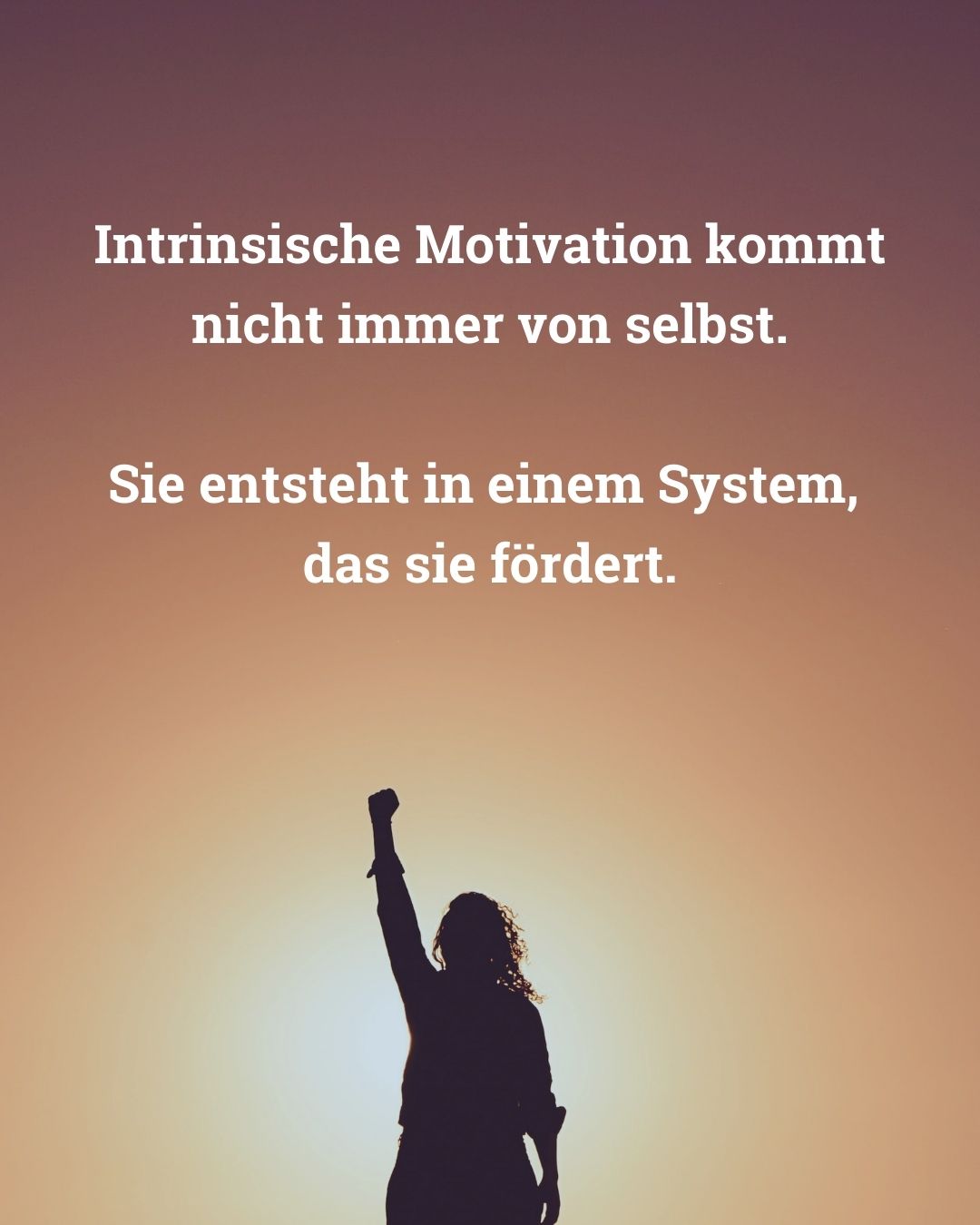 Teams bringen Höchstleistung durch intrinsische Motivation - von Klaus Nitsche - 3