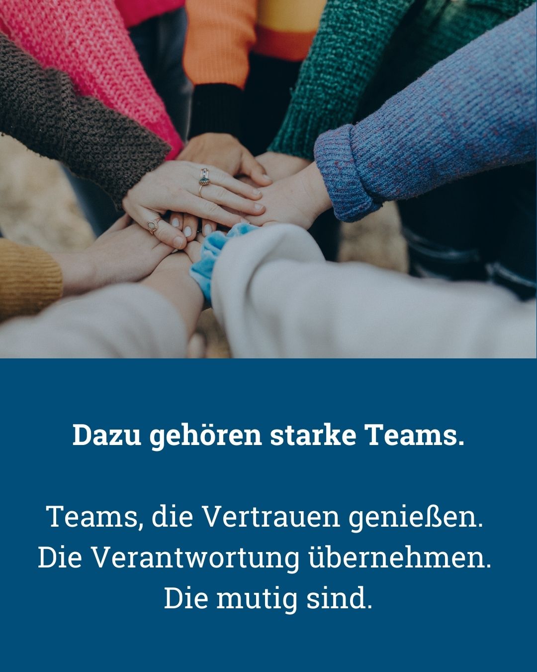 Teams bringen Höchstleistung durch intrinsische Motivation - von Klaus Nitsche - 5