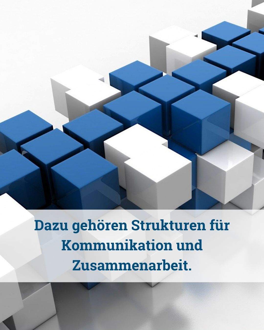 Teams bringen Höchstleistung durch intrinsische Motivation - von Klaus Nitsche - 8