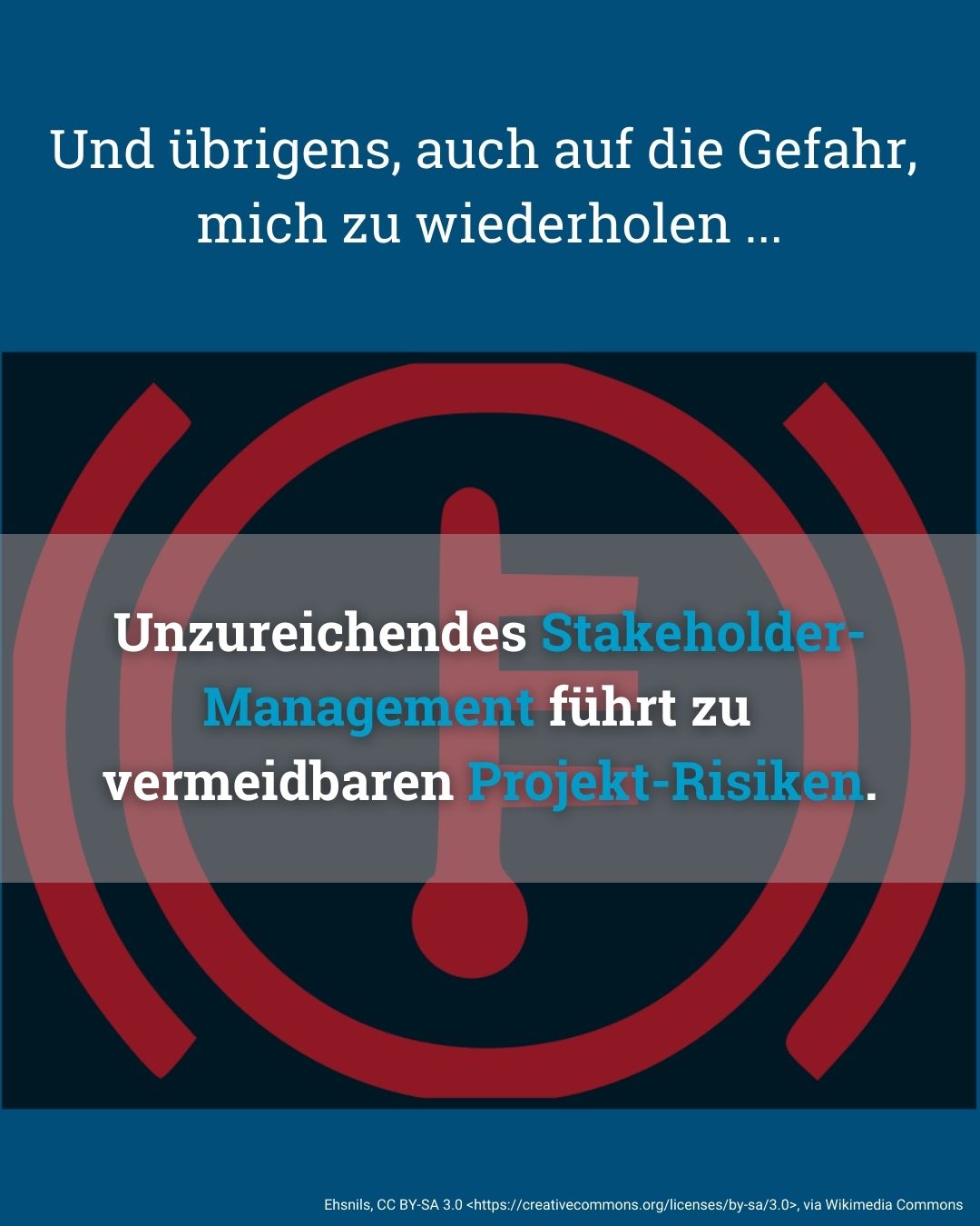 Pragmatisches Risikomanagement in Projekten - von Klaus Nitsche - 11