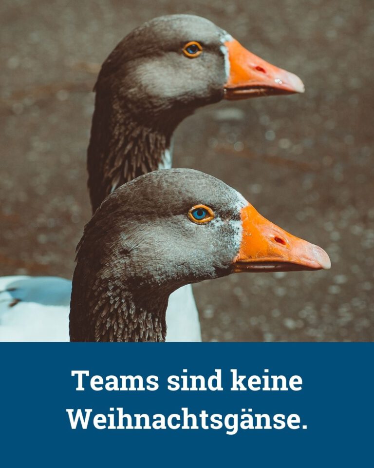 Teams sind keine Weihnachtsgänse