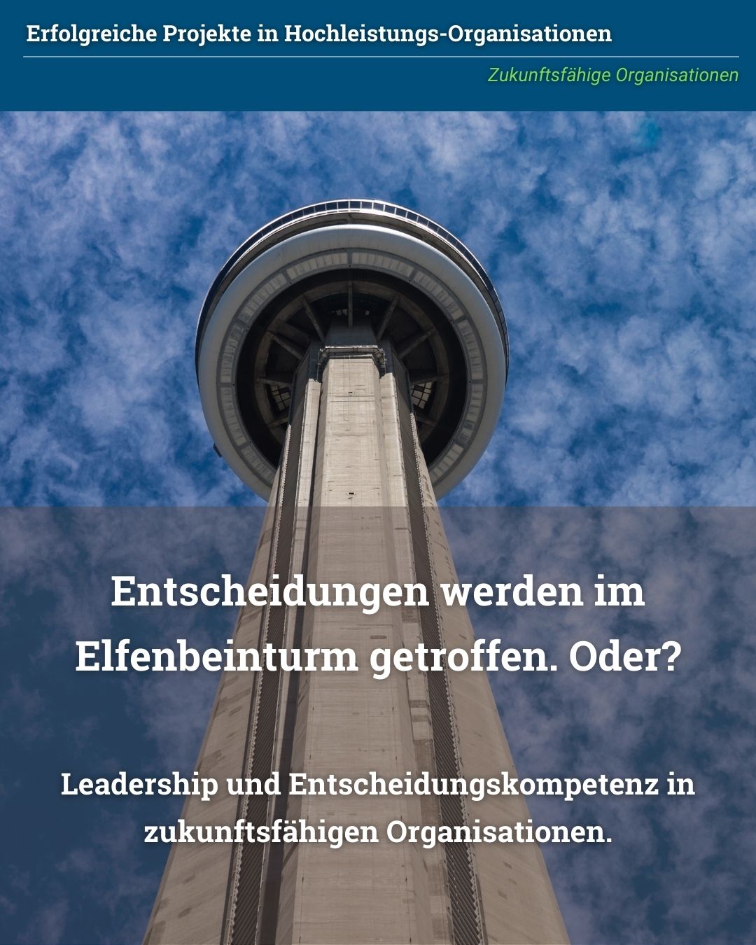 Leadership und Entscheidungskompetenz in zukunftsfähigen Organisationen - von Klaus Nitsche - 1