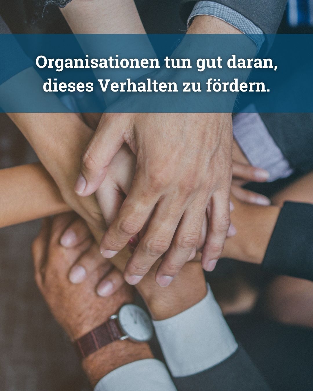 Leadership und Entscheidungskompetenz in zukunftsfähigen Organisationen - von Klaus Nitsche - 7