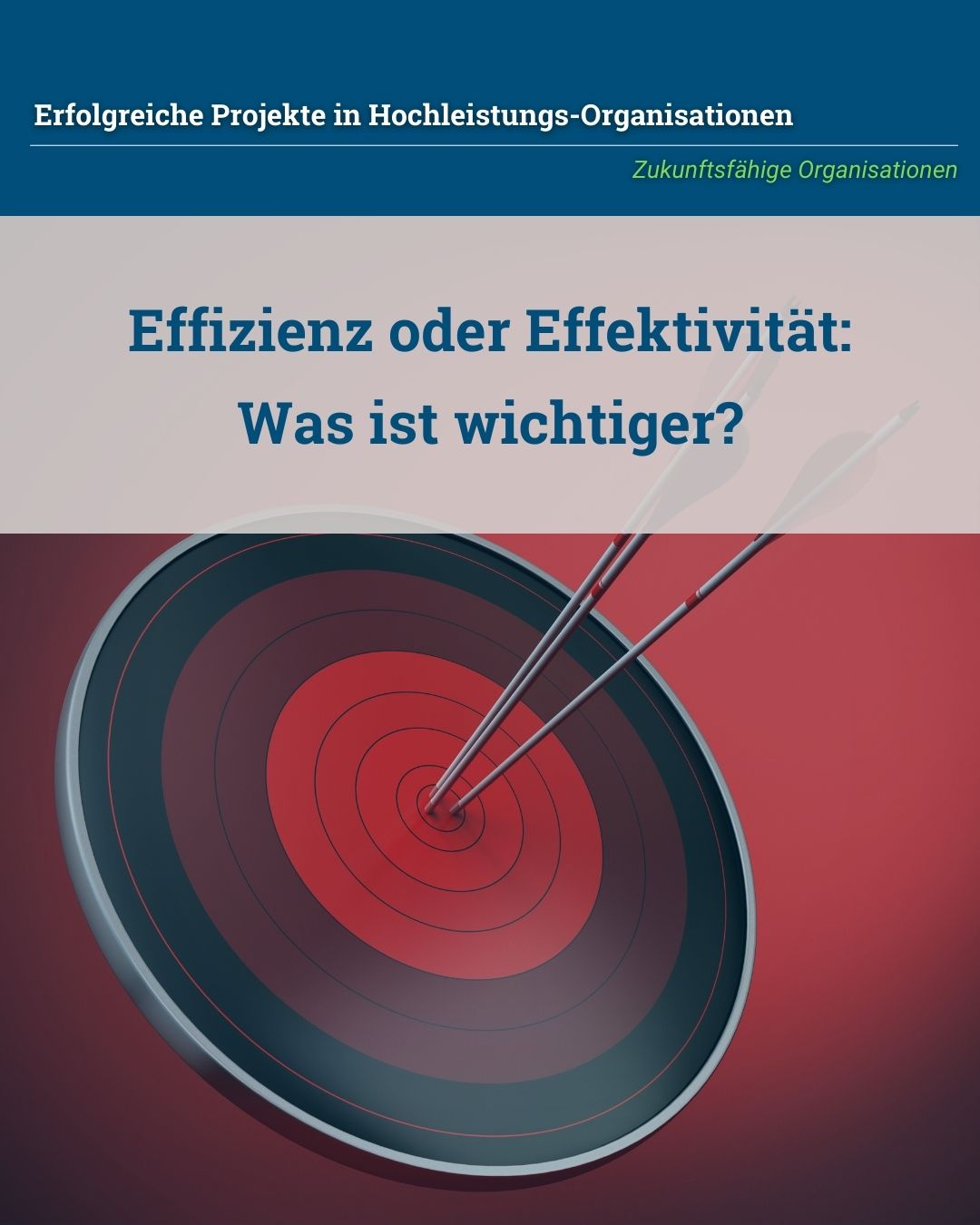 Effektivität vs. Effizienz: Was ist wichtiger? - von Klaus Nitsche - 1