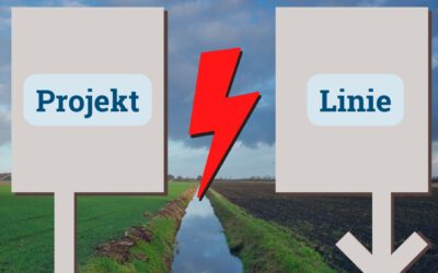 Projekt vs. Linie – der ewige Konflikt