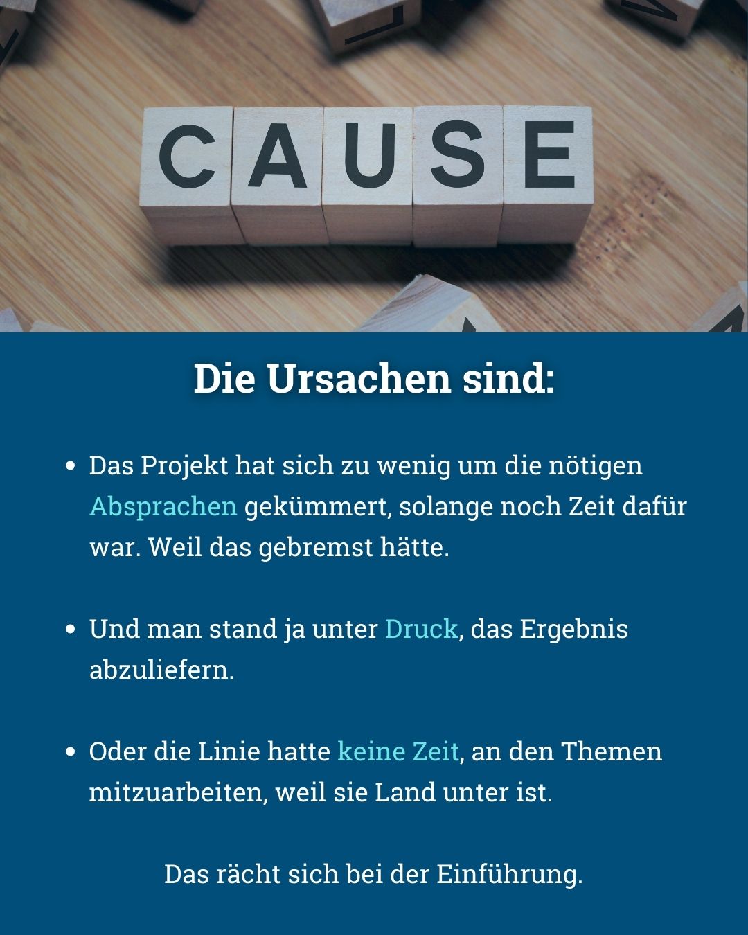 Projekt vs. Linie - der ewige Konflikt. So bekommen Sie ihn in den Griff - von Klaus Nitsche - 9