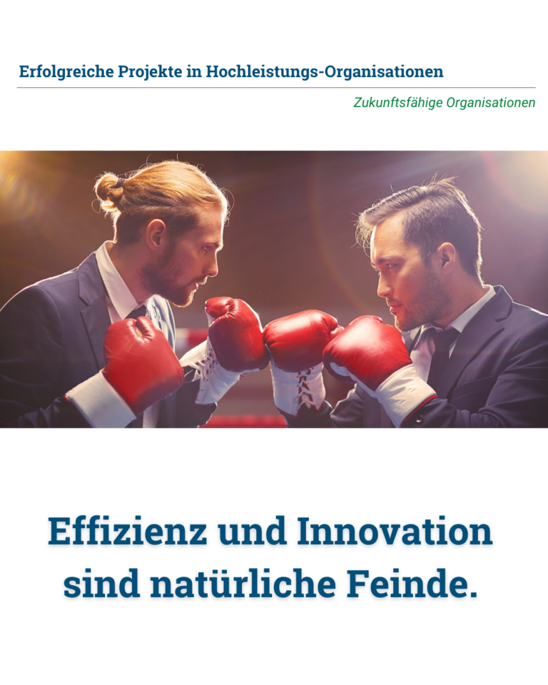 Effizienz und Innovation sind natürliche Feinde